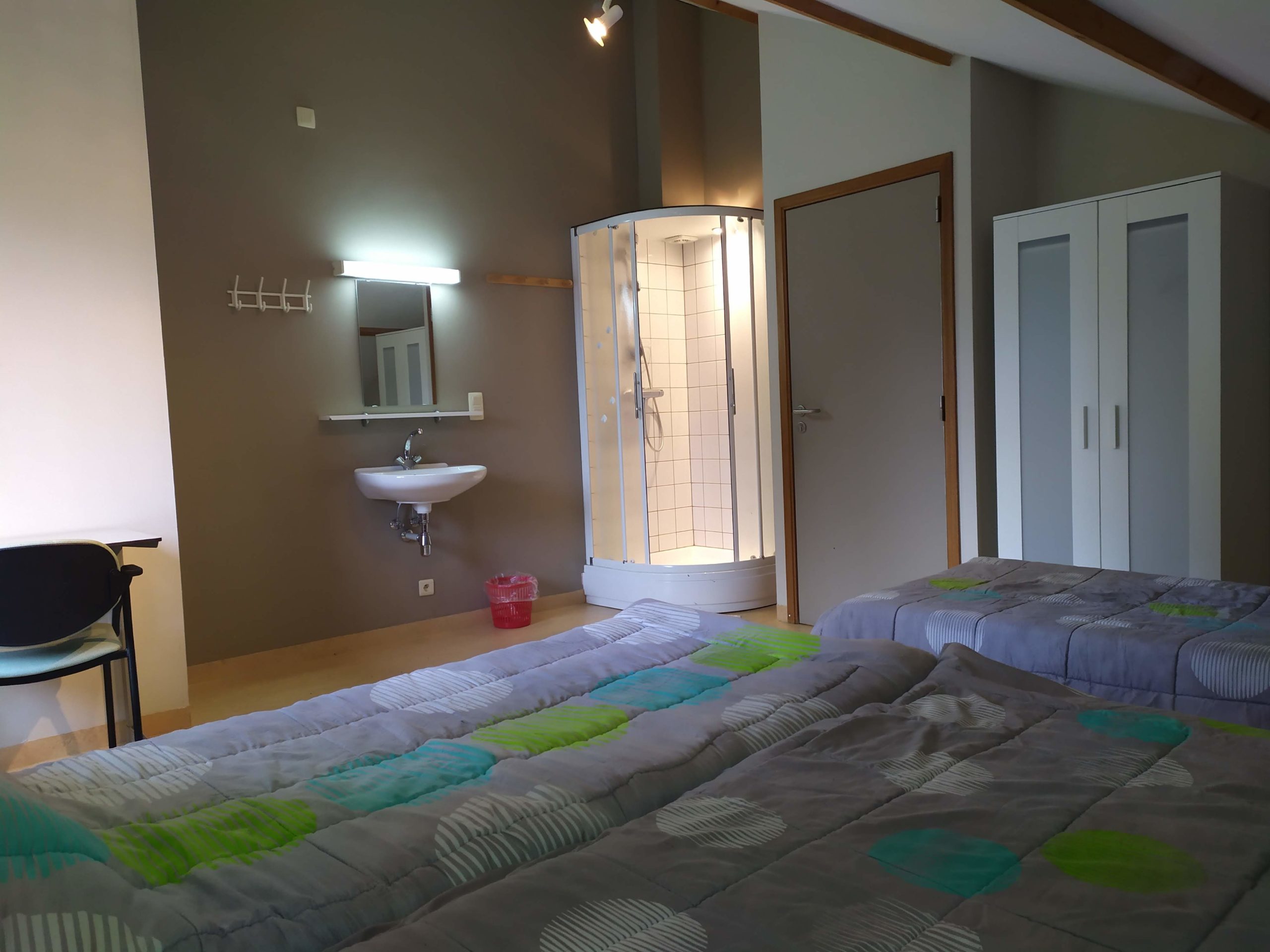 Chambre avec lits, lavabo et douche dans le Petit Gîte