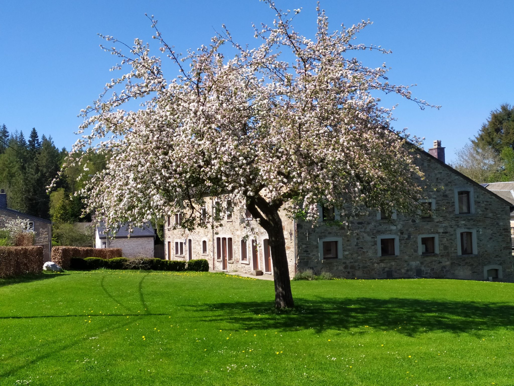 Accueil Domaine de Farnières