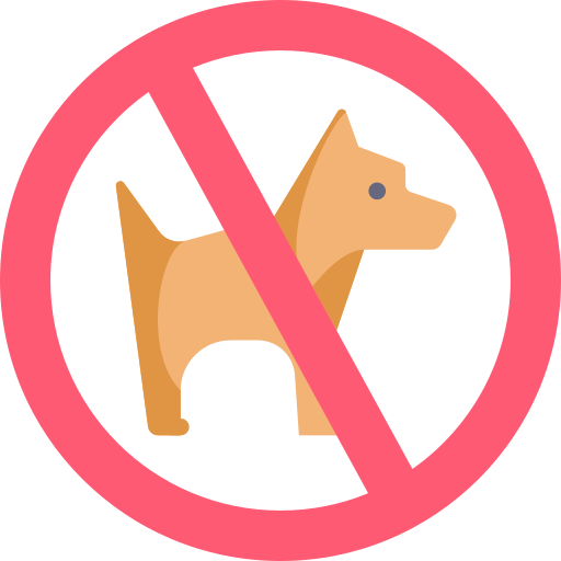 no pet allowed